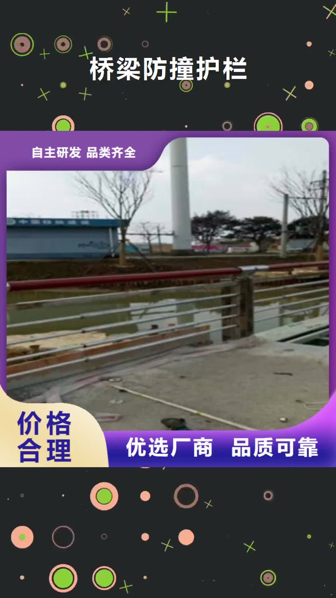 秦皇岛 桥梁防撞护栏 【碳钢防撞护栏厂家】货源直销