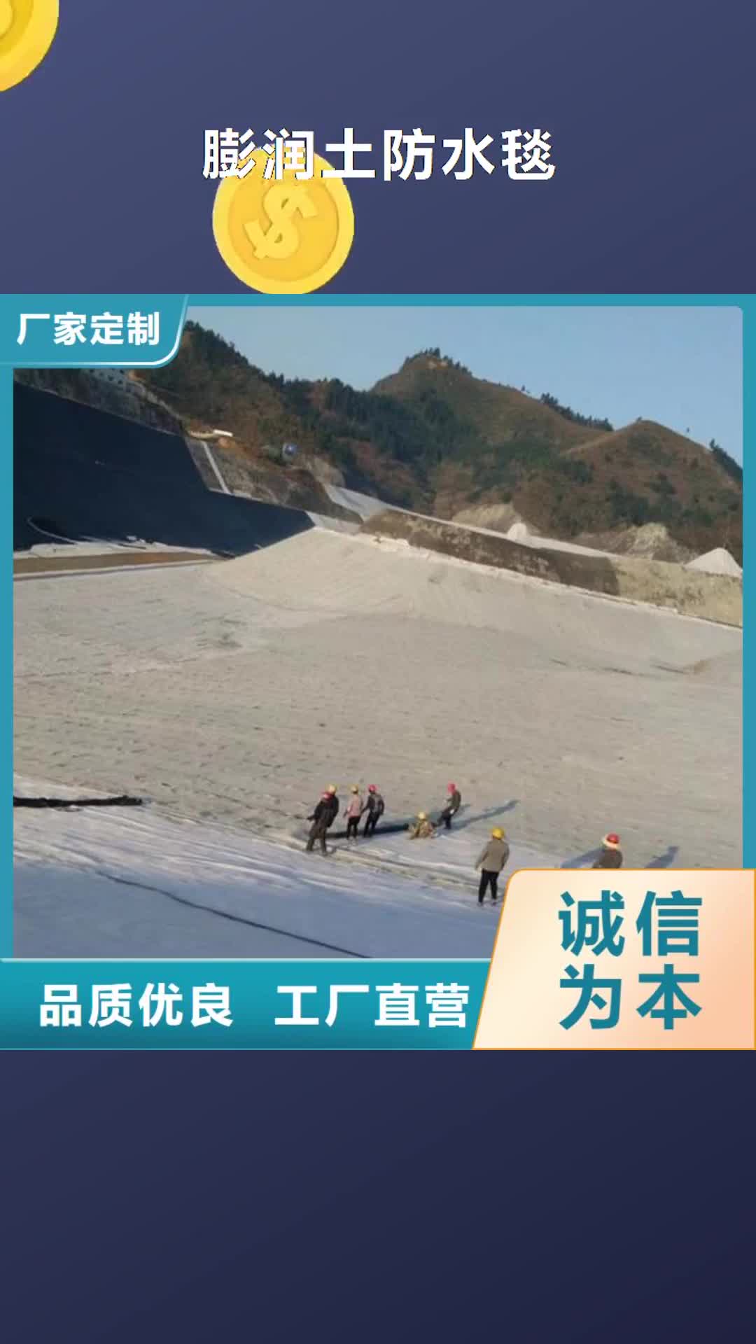 肇庆【膨润土防水毯】,塑料土工格栅专业厂家