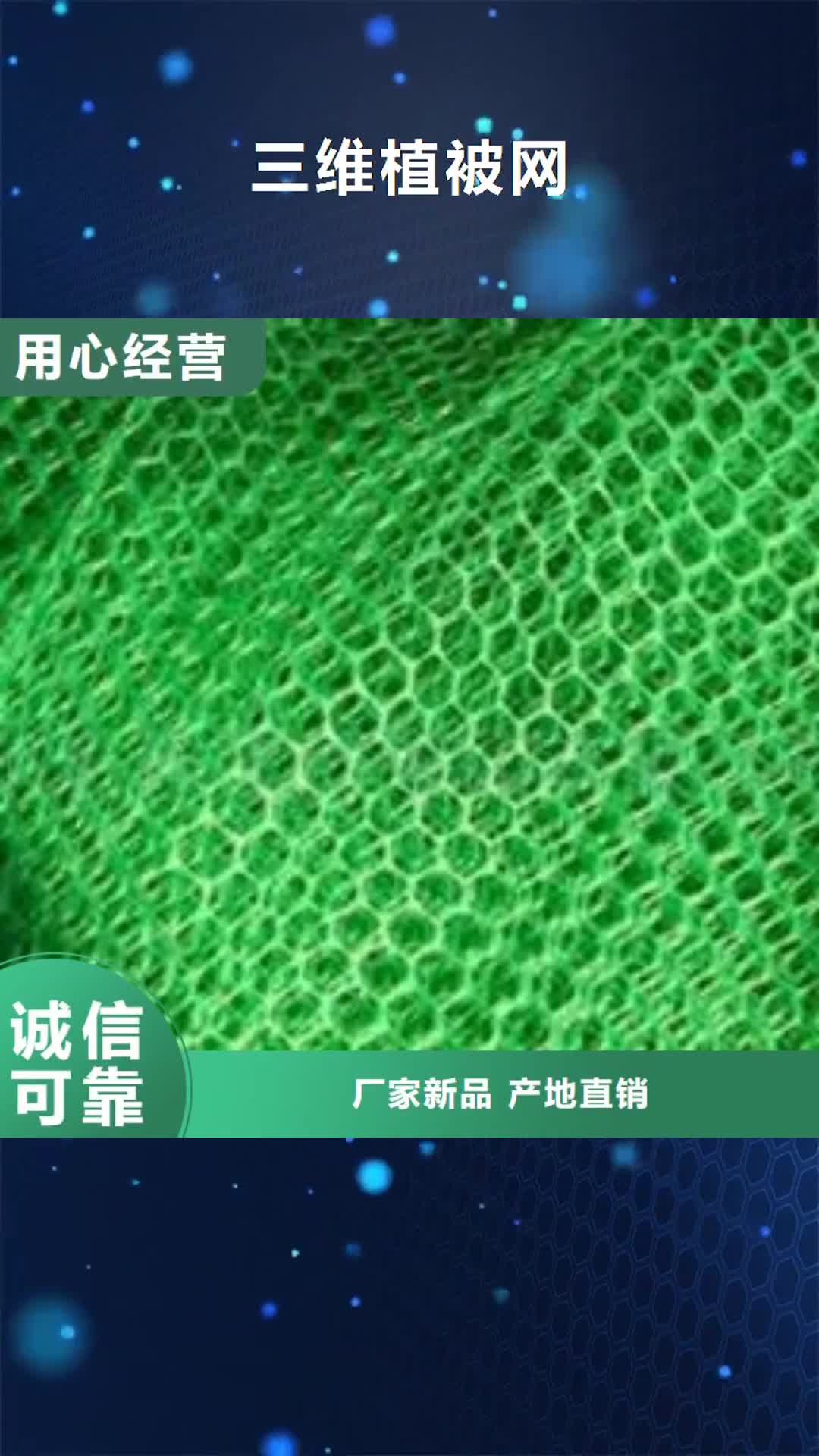 北京 三维植被网【单向塑料格栅】一手货源源头厂家