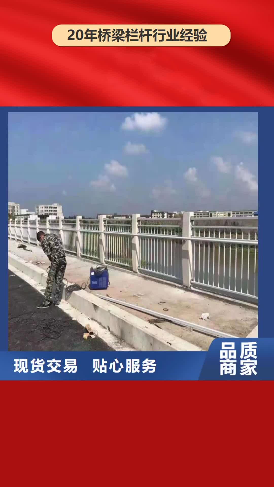 烟台【桥梁栏杆】,桥梁钢护栏实力见证