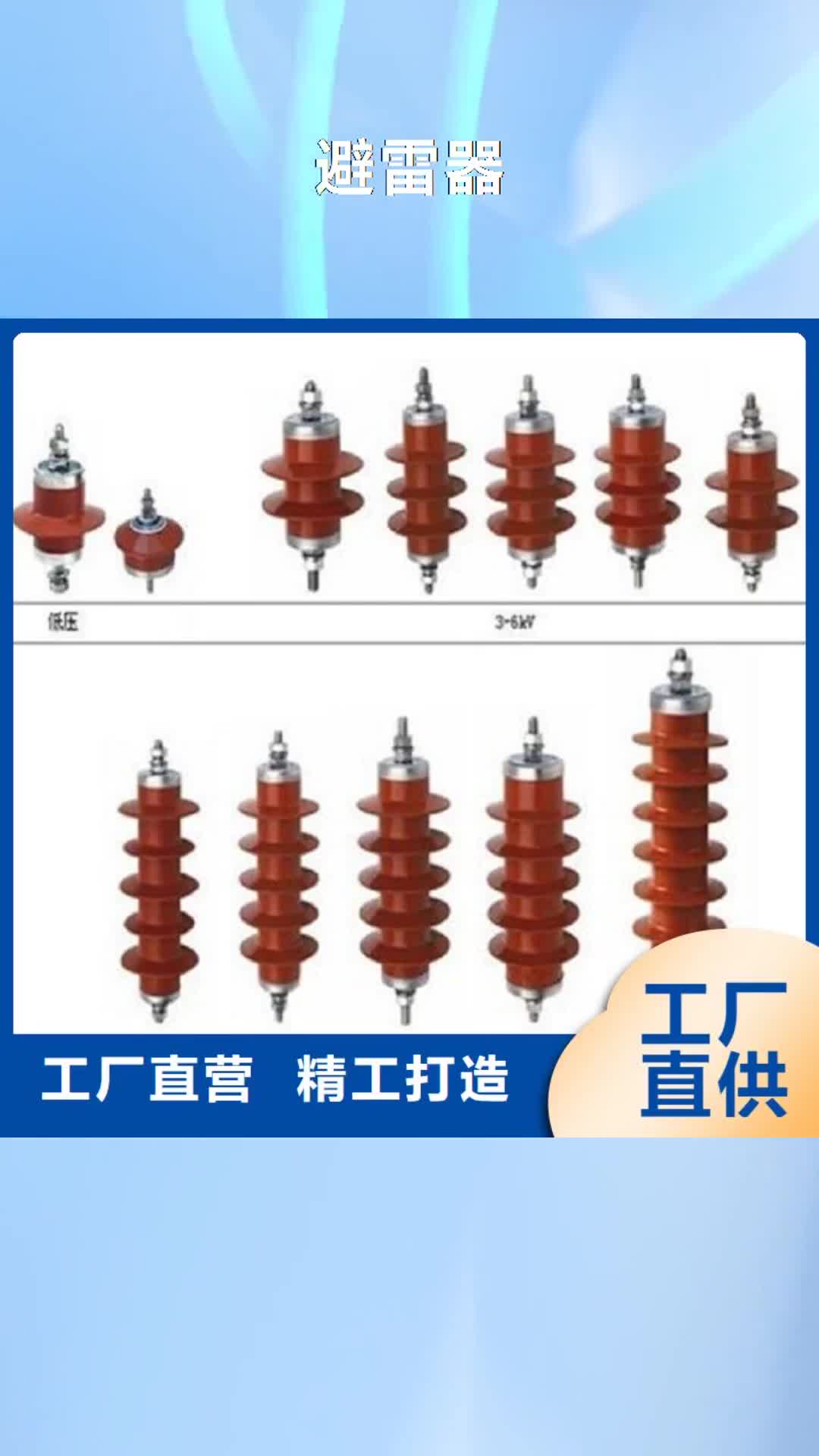 陕西避雷器高压隔离开关选择大厂家省事省心