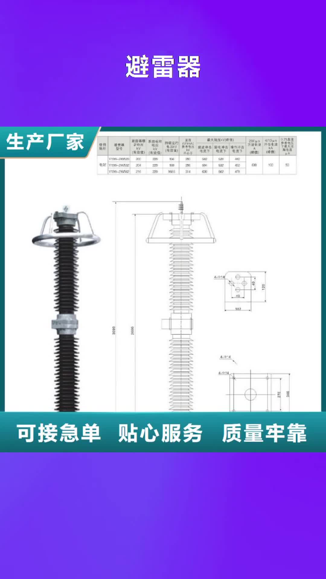 泰州 避雷器-【断路器厂家】精工细作品质优良