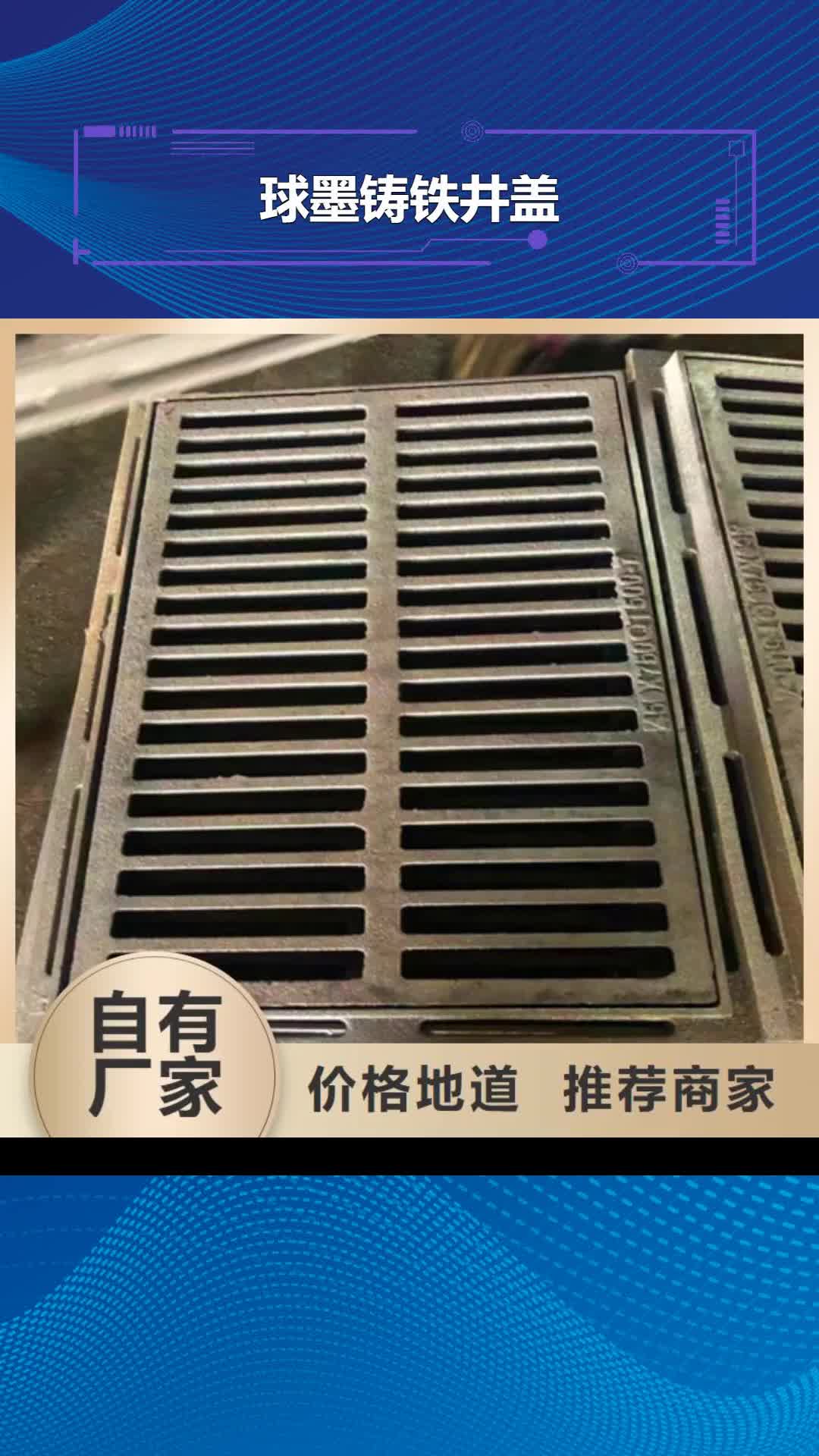 香港【球墨铸铁井盖】 排污球墨铸铁管用心做产品