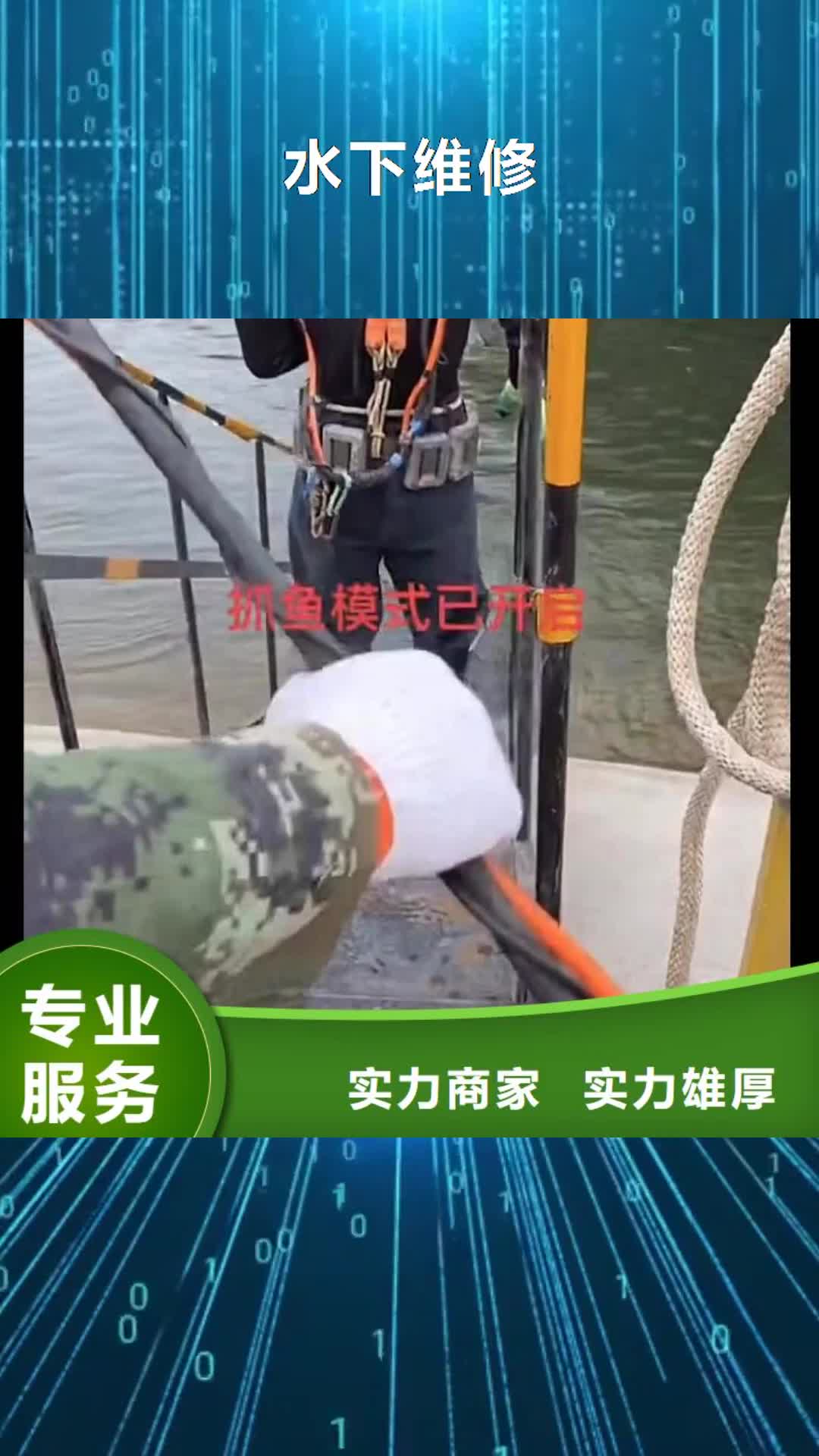 东莞【水下维修】 水下救援机器人解决方案