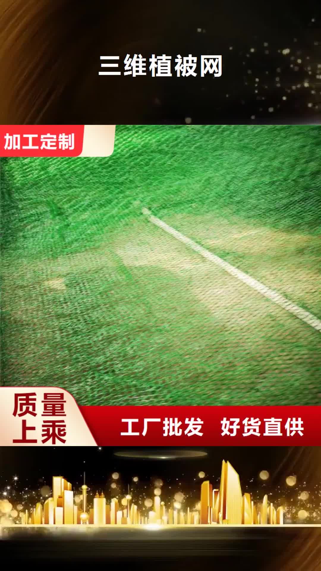 贺州【三维植被网】 膨润土防水毯种类丰富