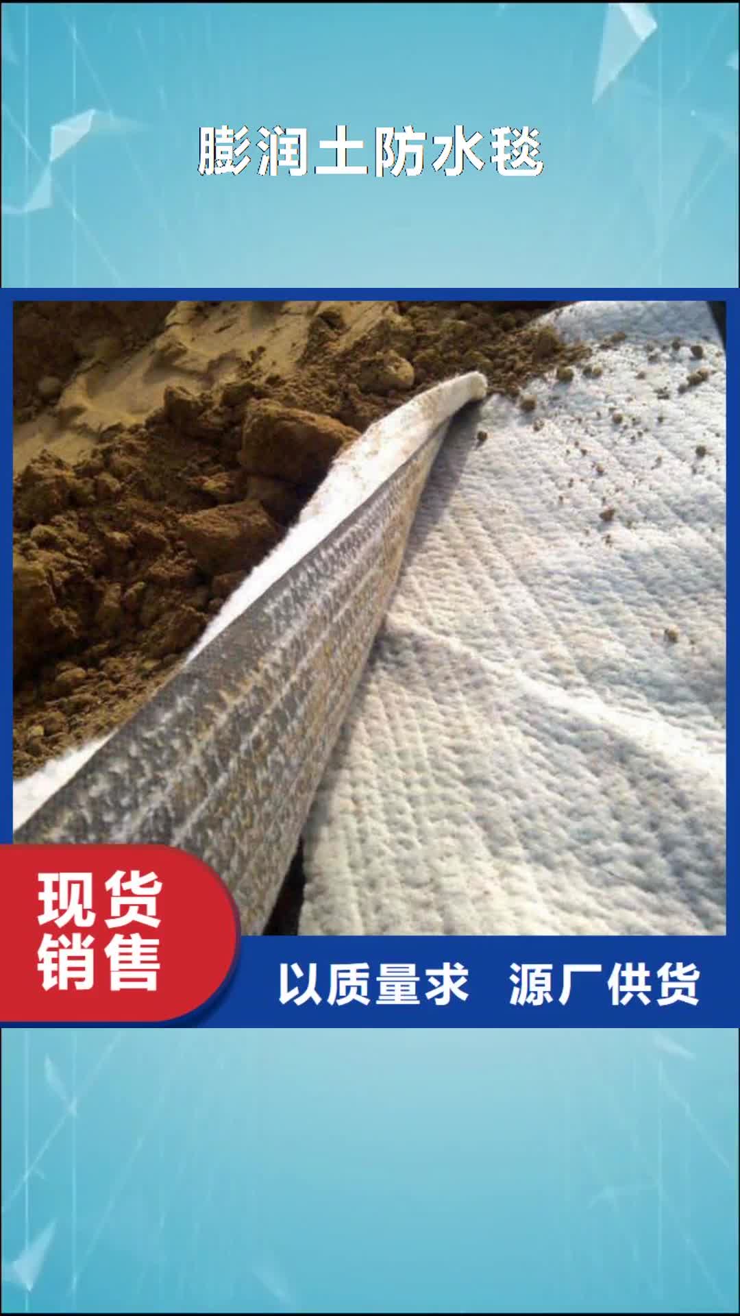 嘉兴 膨润土防水毯-【土工布】定制销售售后为一体