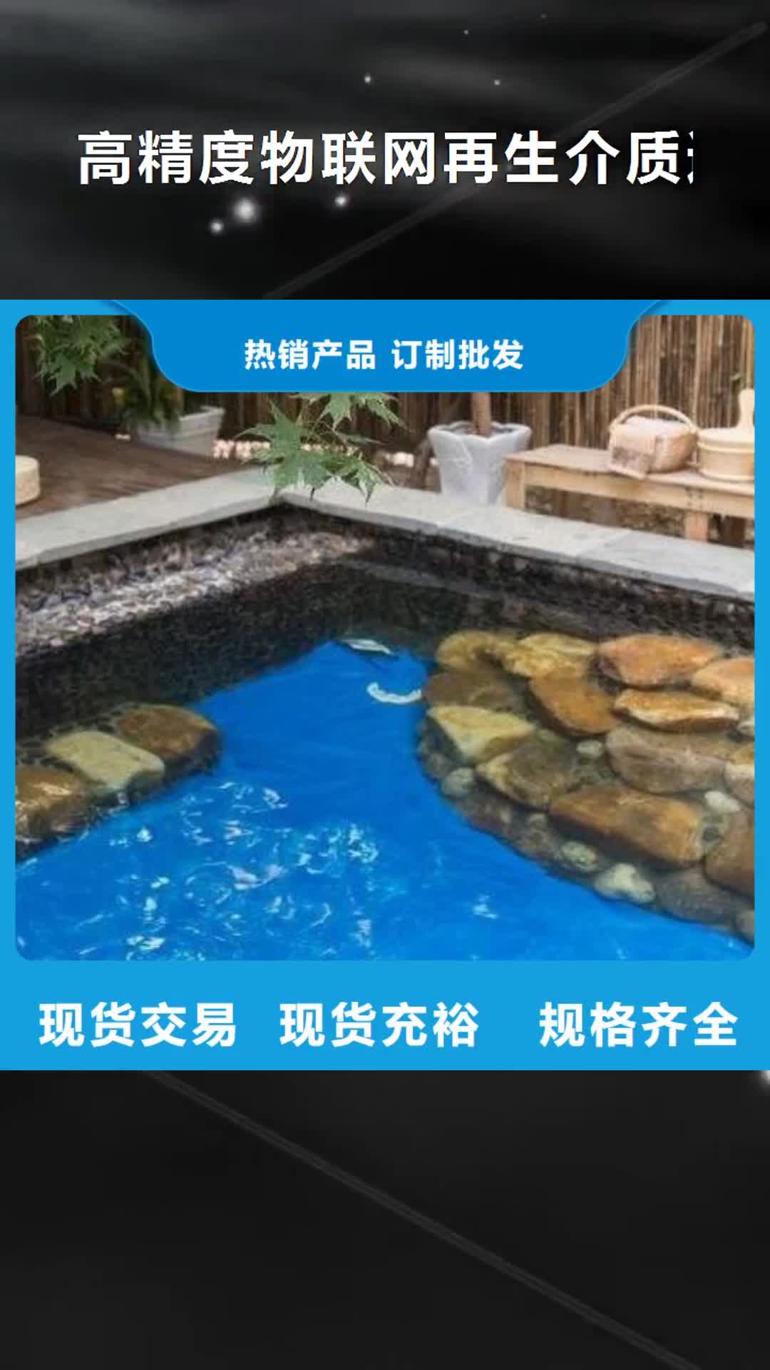 枣庄 高精度物联网再生介质过滤器【温泉设备安装】按需定制