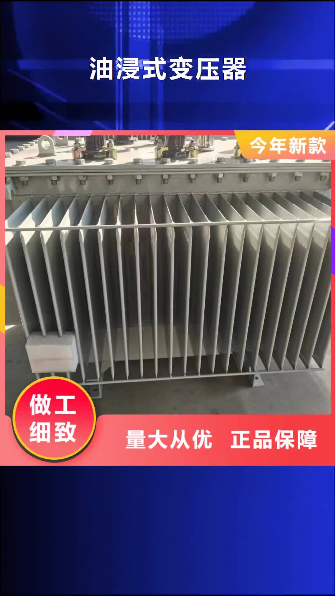 【绵阳 油浸式变压器变压器厂家大量现货】