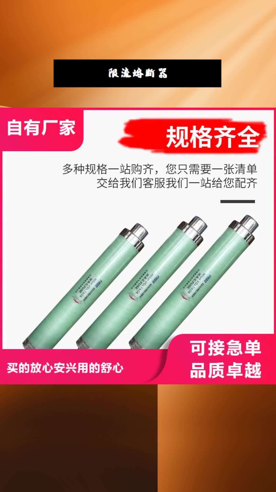 广西 限流熔断器【绝缘子】实体厂家支持定制