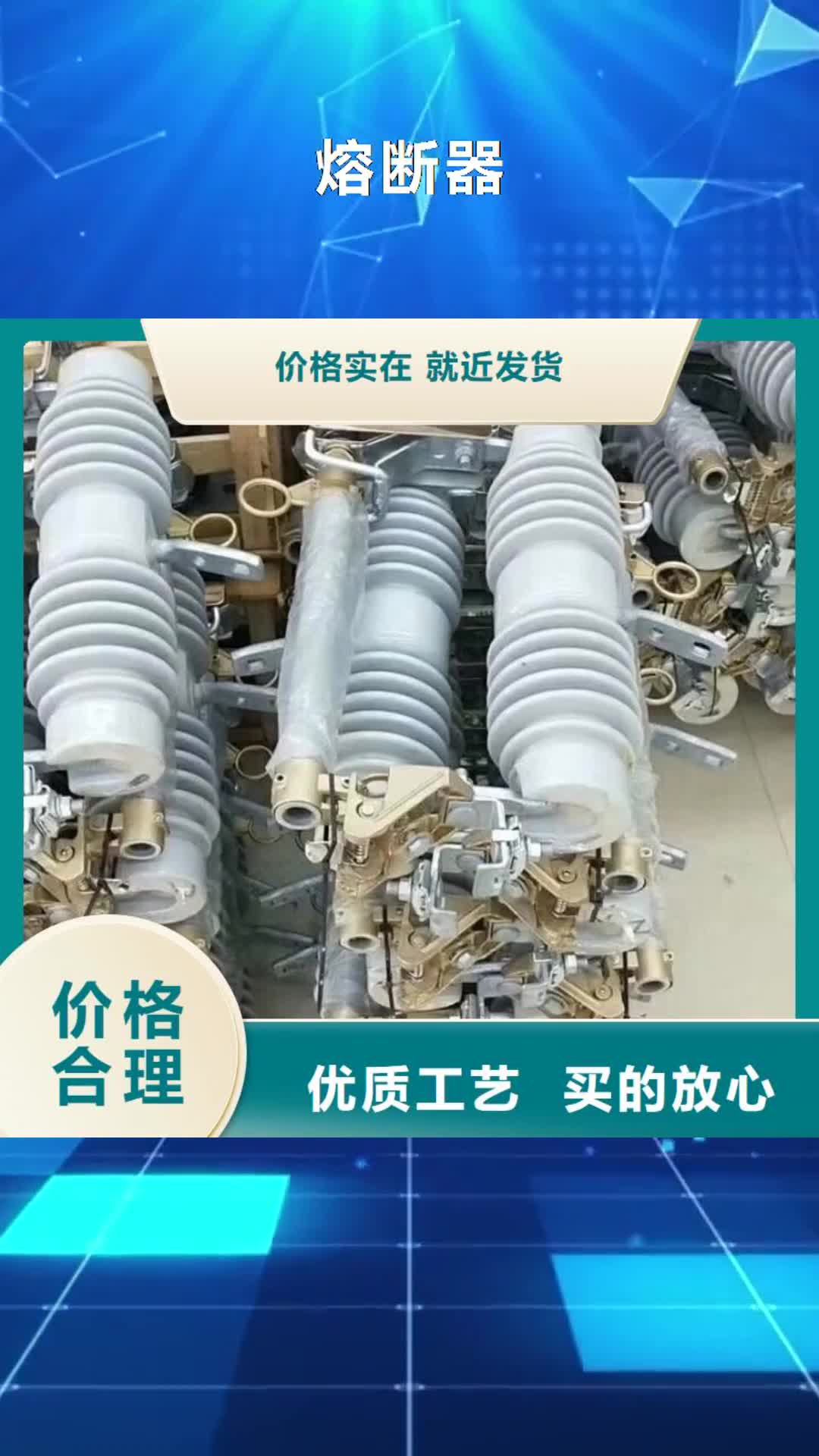 克拉玛依 熔断器-【氧化锌避雷器】厂家实力雄厚