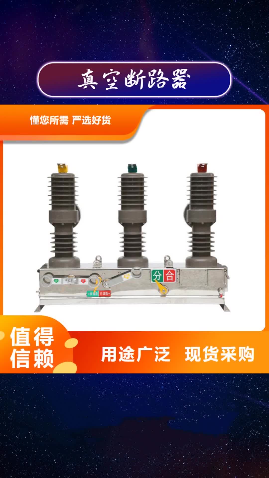 【潮州 真空断路器绝缘子专业生产品质保证】