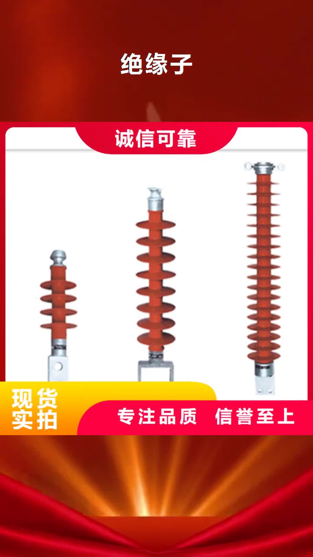 【延边绝缘子_真空断路器生产安装】