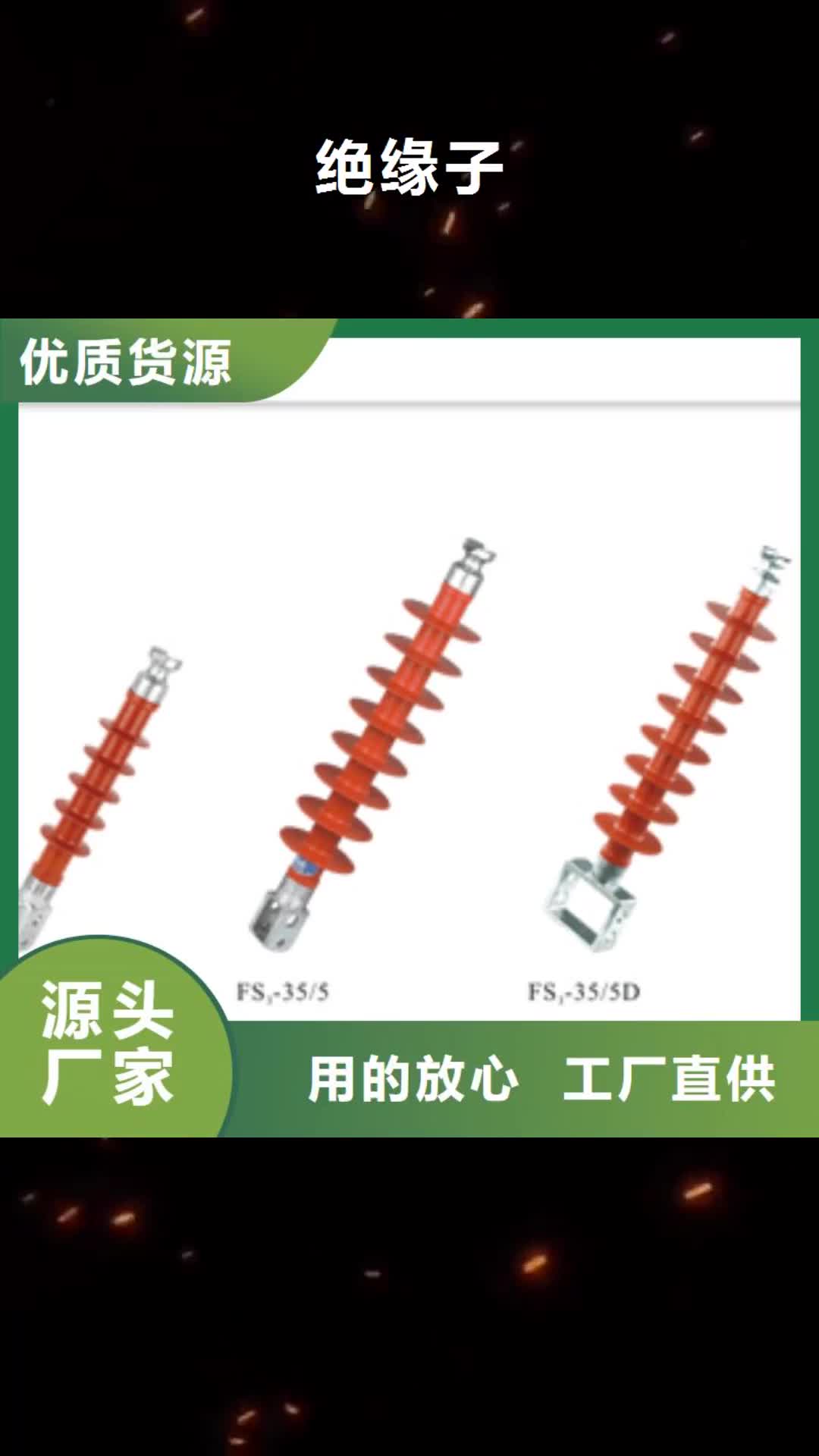 常州【绝缘子】_真空断路器多种工艺