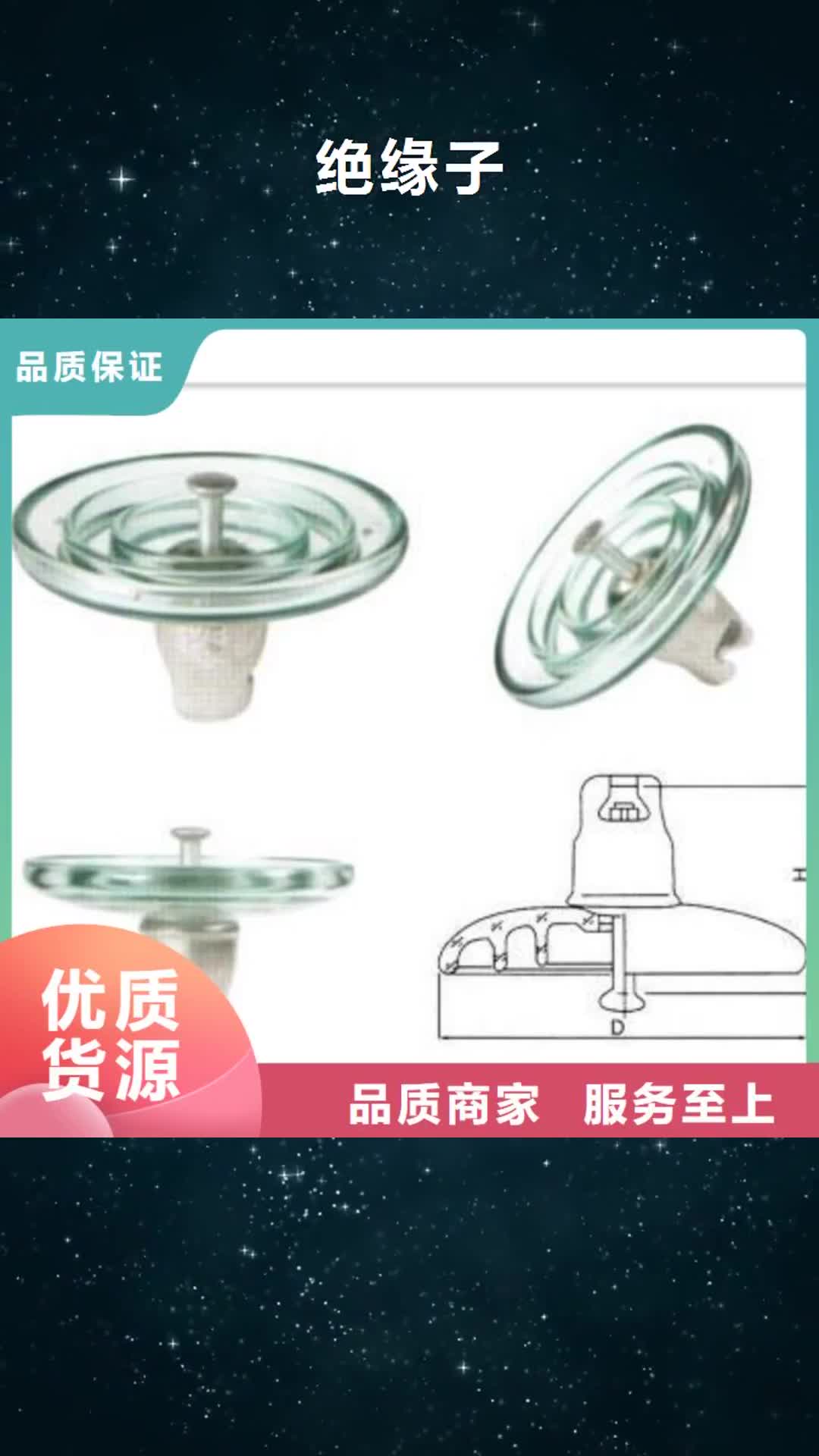 内蒙古 绝缘子 【真空断路器】专注生产N年