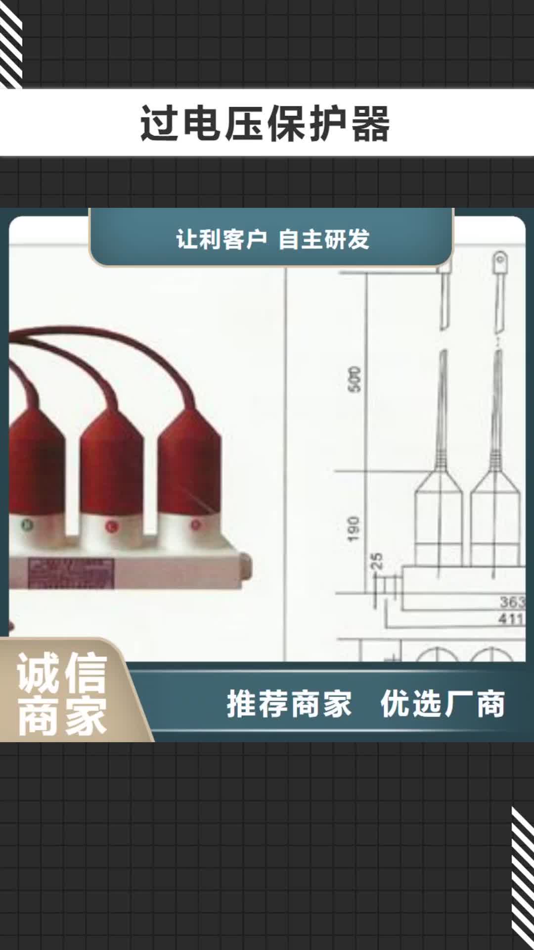 三亚过电压保护器,【绝缘子】订购