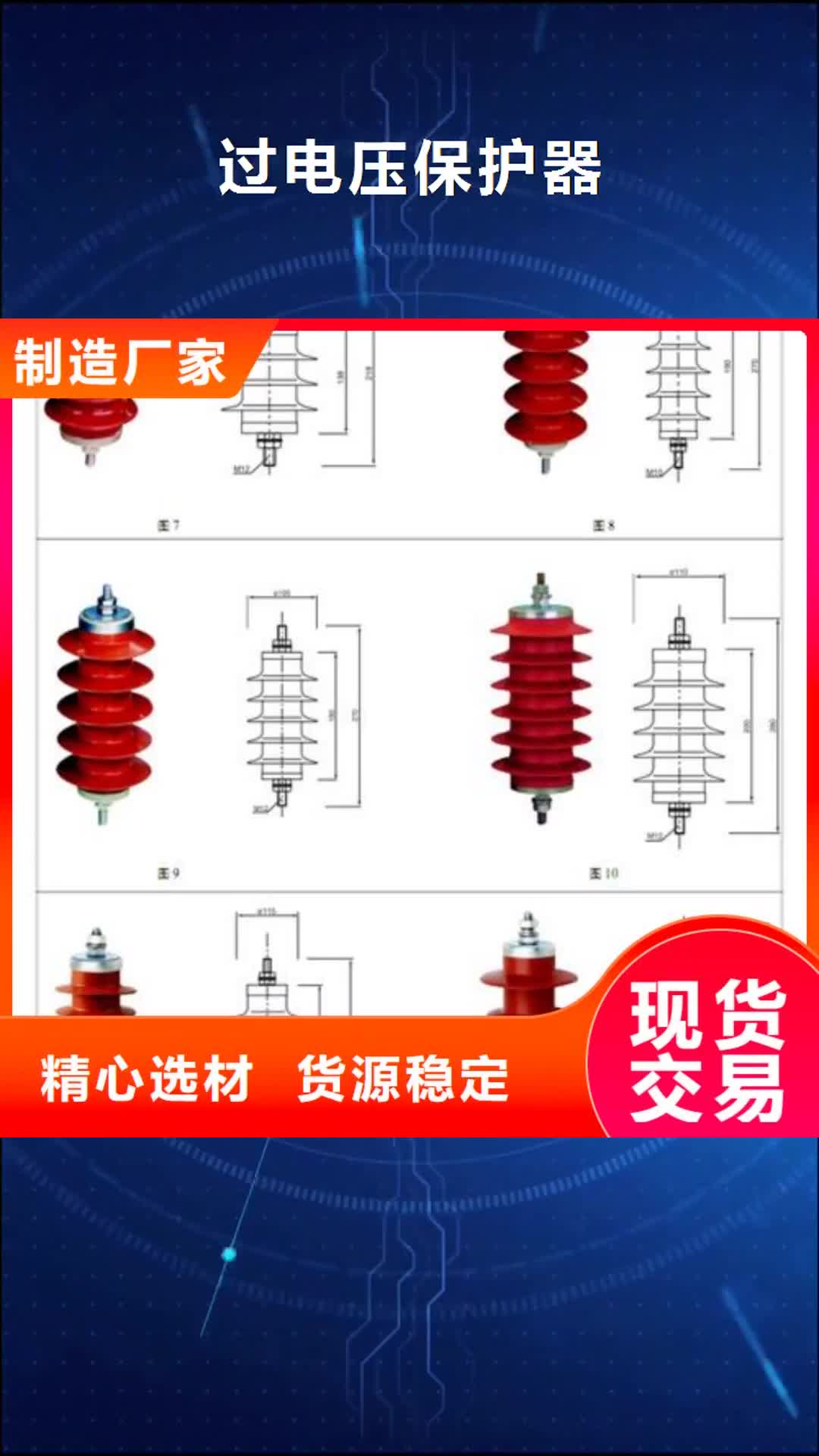 来宾 过电压保护器-【真空断路器】讲信誉保质量